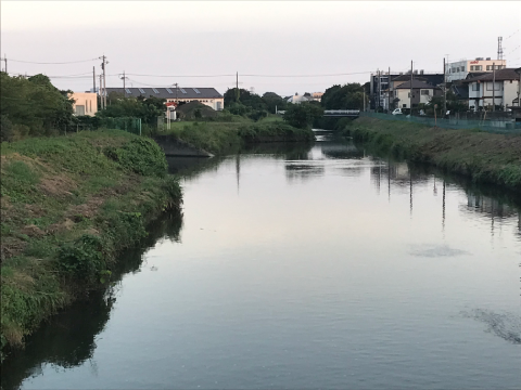 忍川が分岐し佐間水門へ